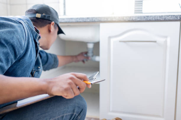 Best Clogged Drain Plumber  in Alpine, UT